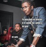 yo buscando en internet x mi gato x v 1.1.8 prros.jpg