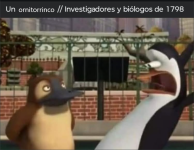 1n ornitorrrinco x investigadores y biologos d 1798 ,ser como prros .png