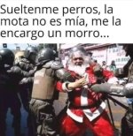 regalo 1n poco curioso...ser como prros.jpg