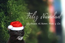 Sin título x feliz navidad d el tema mob y co x v 1.1.8.jpg