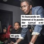 T d tamal x mi gato ,ser como prros.jpg