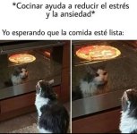 cocinar equal god vives...prros.jpg
