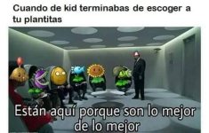 solo lo mejor...prros.jpg