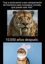 Nerfeo supremo..prros.jpg