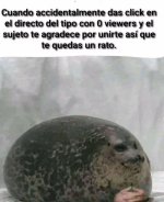 Ci prros ver 0 views.jpg