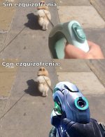 n esto es d vrda...prros.jpg