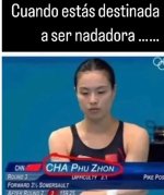 destinada...ser como prros.jpg
