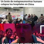 Chinos again...prros.jpg