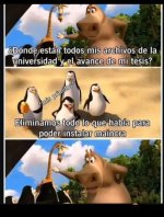 to...x el maicra ,prros.jpg