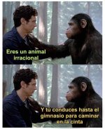 puras animaladas...prros.jpg