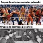 grupos d x v 1.2.7 prros.jpg