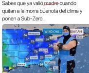 Sabes que el frío va en serio cuando el presentador del clima es Sub-Zero ...prros.jpg