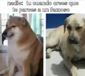 Al menos somos el Cheems ,prros v3.jpg