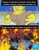 N puso pared...x gringos ,ser como prros.jpg