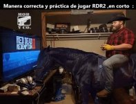 Manera correcta y práctica de jugar RDR2 ,en corto prros completo c marca prros.jpg