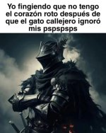 los gatos callejeros son mu orgullosos...prros.jpg