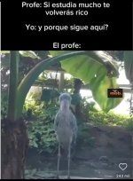 Logica...ser como prros.jpg