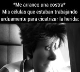 titulo celulas trabajando bien...en corto prros.jpg