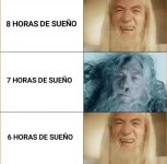 estudien los ciclos del sueño y entenderán...prros.jpg