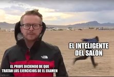 mu real x er inteligente del salon en corto prros.jpg