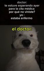 Inteligencia ,ser como prros.jpg