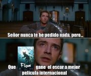Mimm d Flow er gato...ser como prros.jpg