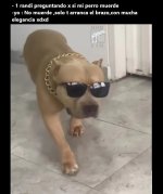 Arramcar brazo con mucha elegancia ,ser como prros .jpg