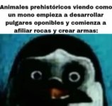 n c prros.jpg