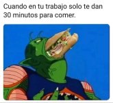 nunca me paso prros.jpg