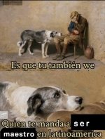 Quien te manda ser maestro en latam...prros.jpg