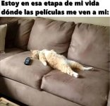 Titul....m duermo a los 5 mins...d peli prros.jpg