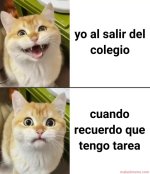 al salir del colegio y al recordar que tengo tares.jpg