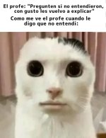 Buenas prros exep al asqueroso Multicuent....jpg