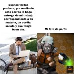 Cuando intentas ser formal en el correo, pero tu foto de perfil cuenta otra historia... prros.jpg