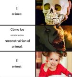el craneo x la reconstruccion y el animal x v 1.1.7 prros.jpg
