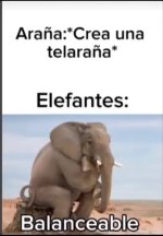1 buen mimm x hahas prros.jpg