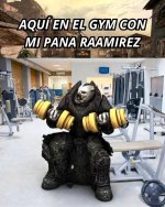 Hoy toca entrenar pecho, espalda y aniquilación de los Gears...prros.jpg