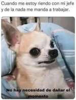 ALV v2.jpg