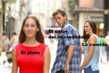 ci pasa prros x plato x microondas x calor d comida ,ser como.jpg