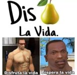dispera la vida,prros.jpg