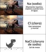 Cloruro d Sodio ,prros.jpg