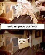 Cortecito de pelo ,prros.jpg