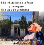cuando se lia más de la cuenta...prros.jpg