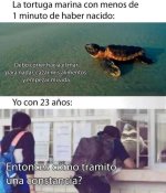 la tortuga marina...x yo ,ser como x v 1.1.7 prros.jpg