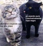 es 1na etapa..prros.jpg