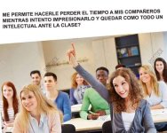 m permite...prros.jpg