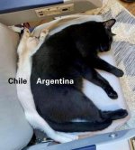 chile y argentia...ser como prros.jpg