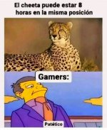 Ci el cheetah aguanta 8 horas en la misma posición, los gamers nos reímos en su cara...prros.jpg