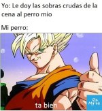 ta bien...prros.jpeg