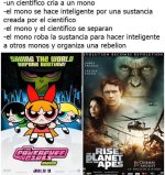 El mono es detenido ,ok equal la humanidad pierde su estatus como la especie dominante calavera.jpg